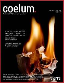 COELUM JANUARY 2018